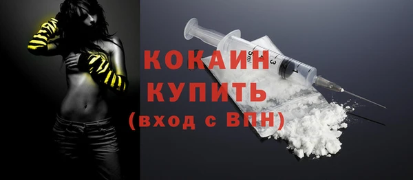 spice Няндома