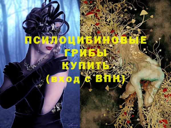 spice Няндома