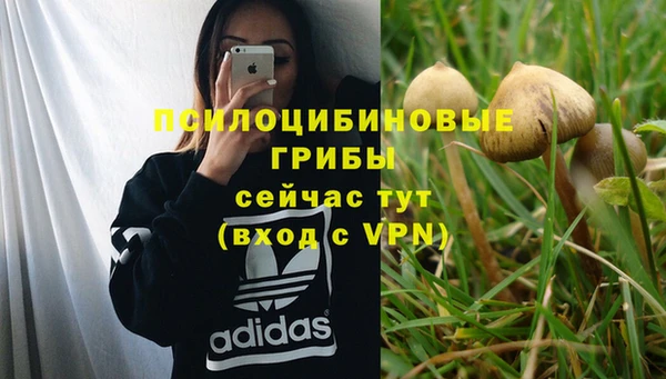метамфетамин Нязепетровск